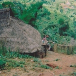 Rural Shan State