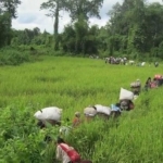 Thousands Flee Latest Fighting in Kachin State