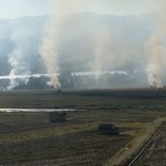 Burmese Soldiers Burned down Rice Barns and Killed Ta-Ang Villagers