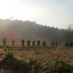 Paletwa Villagers Flee to Mizoram Amid Arakan Army, Tatmadaw Clashes: Indian Media