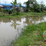 Diarrhea Outbreak Reported in Mung Na RC IDP Camp